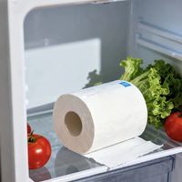 活性炭和柠檬到底能不能除冰箱味？实测对比给你答案