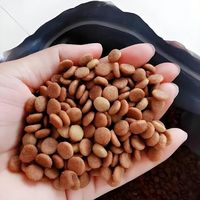 别被忽悠了！兽医教你3招看穿功能性猫粮的真相