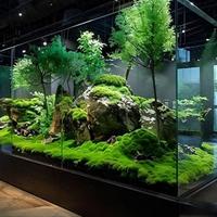 百元内把山河装进鱼缸！这届打工人都在养“会呼吸的微型山水”