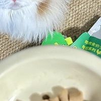2026年猫咪主食冻干选购指南：5步避开智商税，新手不踩坑