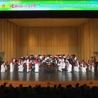 民乐团招新季：二胡古筝卷成红海，这些冷门声部反而更容易上岸