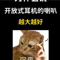 为什么说开放式耳机的喇叭越大越好？