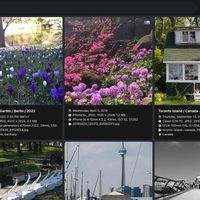 PhotoPrism六月七月连发两版：磁盘写满保护、17个CVE修复，谁该升级谁可以等