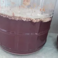 自酿葡萄酒长白膜，扔还是接着喝？翻了全网几十篇帖子，判断标准就3条