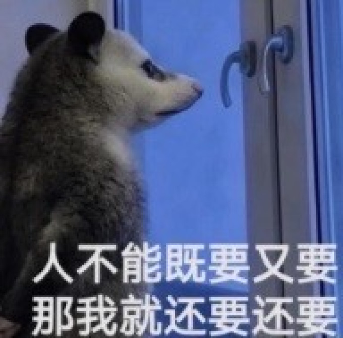 显示器