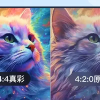 ToDesk个人版、专业版、游戏版、设计版、性能版、团队版权益介绍