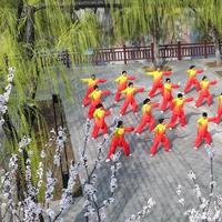 顶级医学期刊证实太极能改善膝盖痛，但不少人练废了膝盖，问题出在哪？