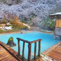 冬季的银山温泉房，开放预订就被抢：想泡日本雪景温泉的，8月就该动手抢房了