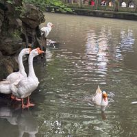 背《兰亭集序》能省70元门票：绍兴兰亭"背书免票"最新核实，附名额与避坑