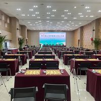 49人被罚、8人终身禁赛：2亿人下象棋，为什么养不活一个联赛