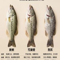 买鱼别再被坑！一眼分辨鱼新不新鲜✅