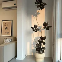 八月末，室内绿植迎来“黄金窗口”：换盆、施秋肥、挪位置都有时间差，看信号别看日历