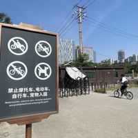 被曝“破败不堪”的大明宫，4块透卡依然值得看：60元门票怎么花不亏，坑一次说清