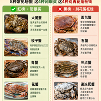 螃蟹红黑榜🔥8种常见蟹4种闭眼买4种别花冤枉钱