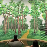 22.4万赞的“不许在洗浴中心过夜”和1.8万赞的“东北不背锅”：翻完几十篇实测帖，我搞懂了“过夜”的4种门道