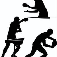 孙颖莎同款球拍为啥你打不动？专业配置的真实门槛