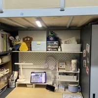开学前，你的购物车可以退掉一半：对完全网宿舍装扮避雷帖后，我整理了这份省钱清单