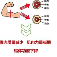 9月1日起，肌少症纳入国家老年综合评估：先在家做这套三步筛查