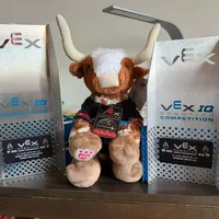 同样是打VEX，有人花3800元，有人花16万：新赛季报名季，这笔账算清楚