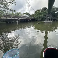 同一袋疯钓鲫，有人说"狂拉"有人说空军：看完实测视频下的47条评论，我想明白了