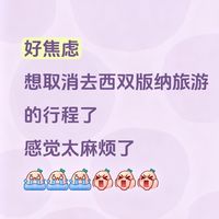 好焦虑!想取消西双版纳行程了,感觉太?