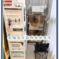 养龙猫电费轻松破千？新手必看的温度控制避坑指南