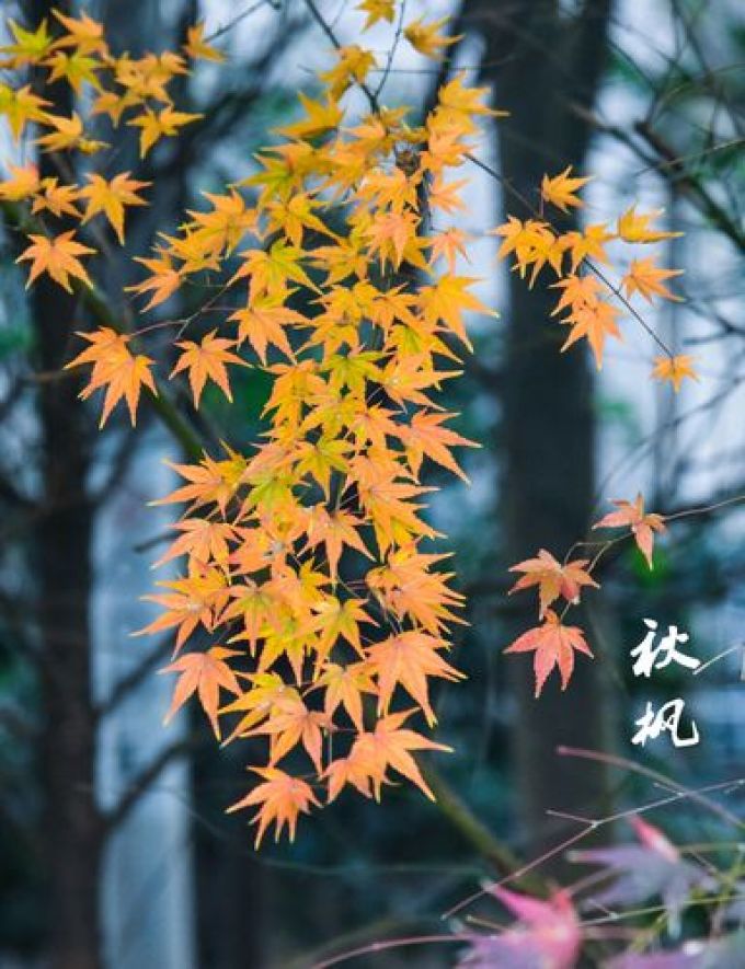 基础健康