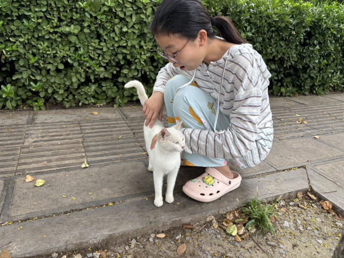蓝氏猫咪湿粮/罐头