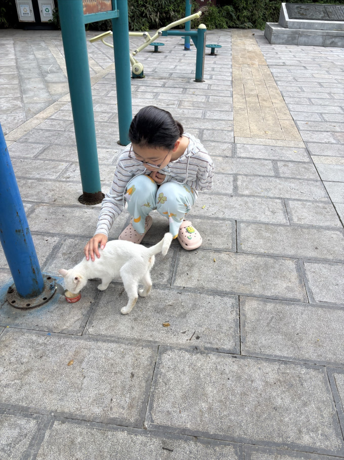 蓝氏猫咪湿粮/罐头