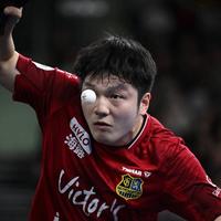 樊振东德甲主场首秀敲定 换四千人场馆门票被炒至180欧
