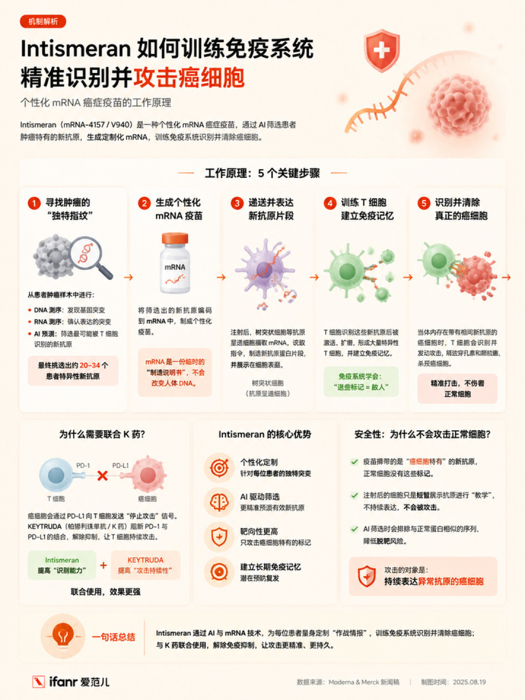AI 开始改写癌症治疗,真相是什么?