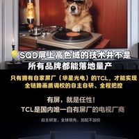 TCL现在已经不是单纯靠低价抢市场的品牌了