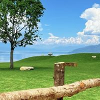 疤痕党淡化疤痕用什么祛疤产品效果好？不同肤质和部位别选反了