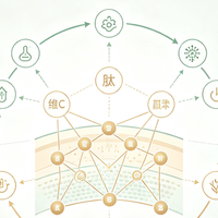 找回肌肤回弹感｜适合30+改善弹性流失的抗老护肤选购指南