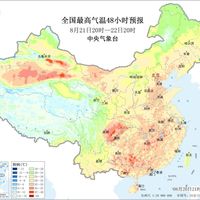 秋老虎天血压变"乖"了，能停药吗？翻完门诊实录和AHA声明，先看清这3条标准再决定