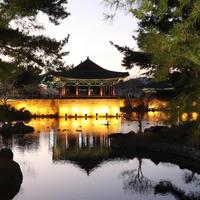 日本签证涨5倍、韩国团免签延长到年底：国庆短途出境，把签证、机票、当地花销三笔账盘完
