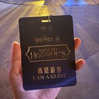 全身JK被拒，必须穿巫师袍：环球「我是游客」游客牌的收集基因与交换暗规则，9.1前一次讲清