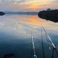 贵的鱼竿和便宜的鱼竿，差距真有那么大？翻完7、8月20多条实测，我把话说透