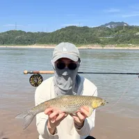 八月溪流哑火，46°C的红眼却爆口了：翻完今夏全网赤眼鳟飞钓帖，窗口、选水、配组和避坑一次说清