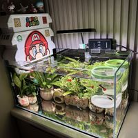 新手养鱼第一个坑就是过滤：老玩家按缸配过滤，这3种白送也别要