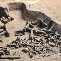 哈民遗址发掘报告出版：近200名史前先民为何死在自家屋里，瘟疫还是战争？