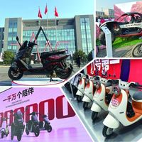 营收涨22%，利润跌19%，股价却大涨7%：九号公司这份中报，得拆成三层看