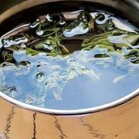 纯钛杯开箱、便携饮品设备 | 膳魔师8.21日报