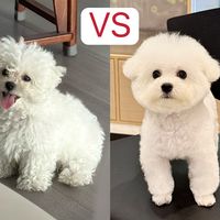 剃胎毛贴皮剃，毛才长得好？翻了30多条真实经历帖：只有2种情况真要贴皮剃
