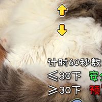 健康照护与新手避坑 | 养猫8.21日报