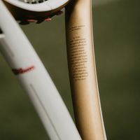 郑钦文从资格赛打起，阿尔卡拉斯带伤卫冕：美网前，你想买的