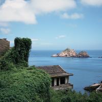 梭子蟹一周从55元/斤降到20元/斤：9月去舟山旅居，海鲜不是大头，住宿才是