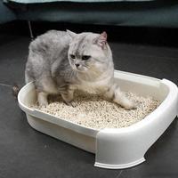 养猫第一年这些东西八成都是多余的：过来人含泪整理的购物避坑清单