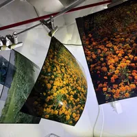 Velvia 338元一卷、E100一盒1000元：反转片涨到一次快门10块钱，还剩4条路能拍
