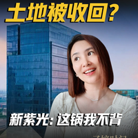 土地被收回？新紫光：这锅我不背
